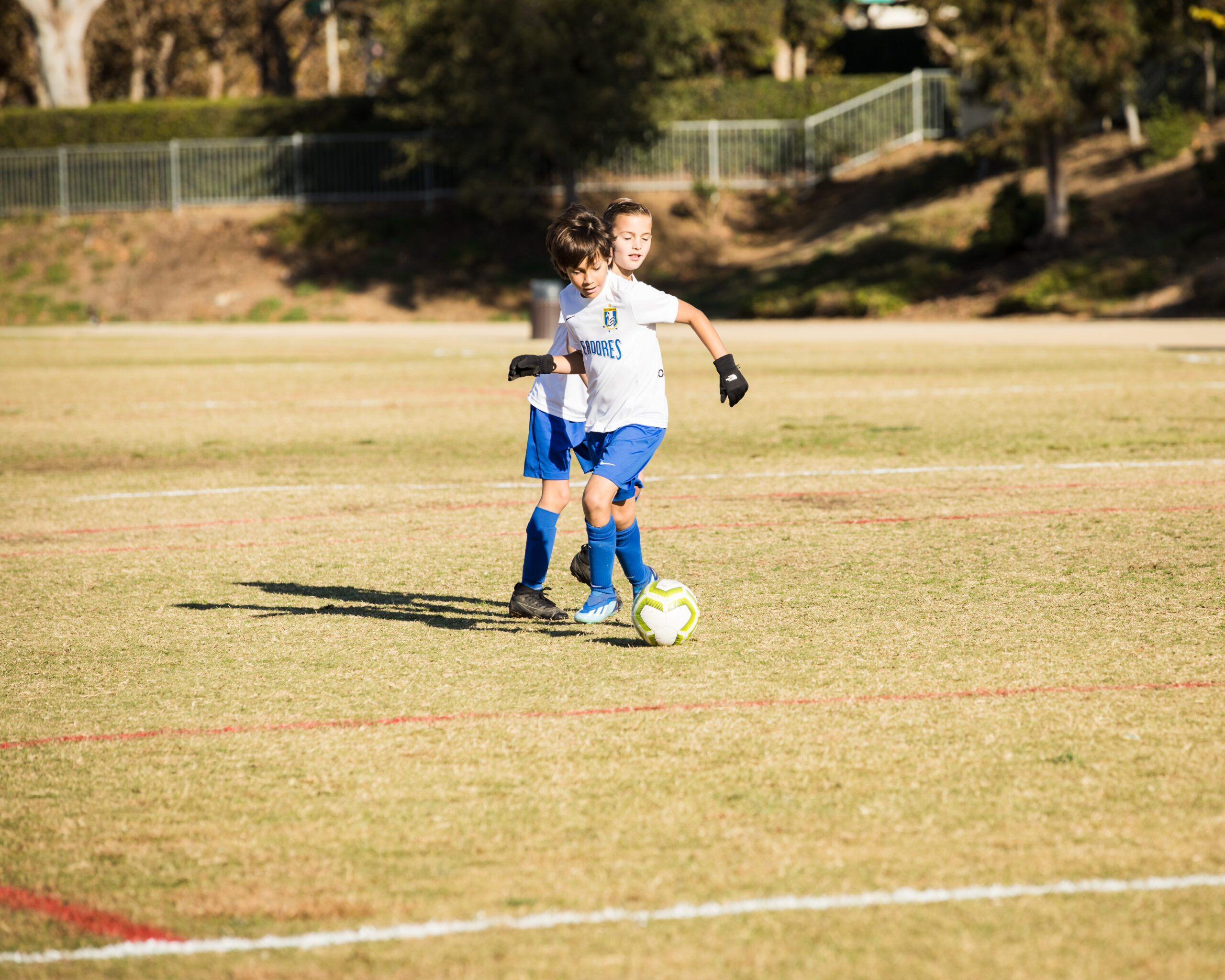 Youth Soccer Teams